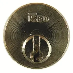 Iseo Screw In Cylinder (Single)