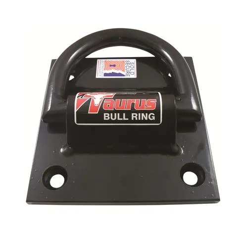 Taurus Bolt Down Anchor Plate