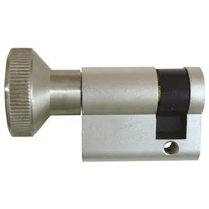 Iseo F5 Open Profile Cylinder (Euro Key & Thumbturn Cylinder)