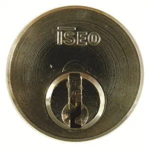 Iseo Screw In Cylinder (KA PAIR)