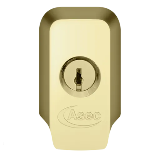 ASEC High Security Rim Cylinder Pull With Cylinder