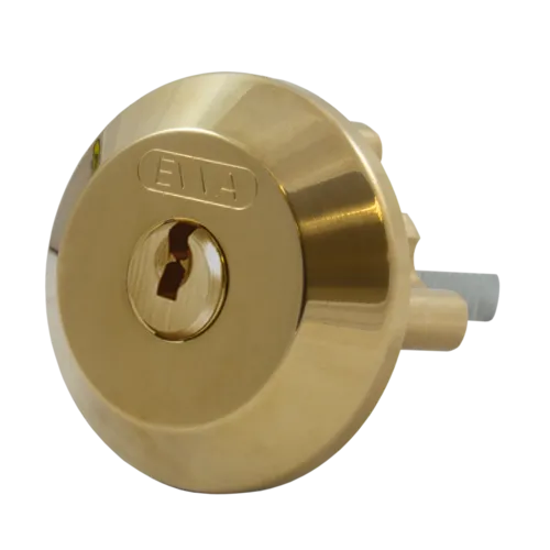 EVVA ICS SC1 Rim Cylinder 000EI Keyed To Differ