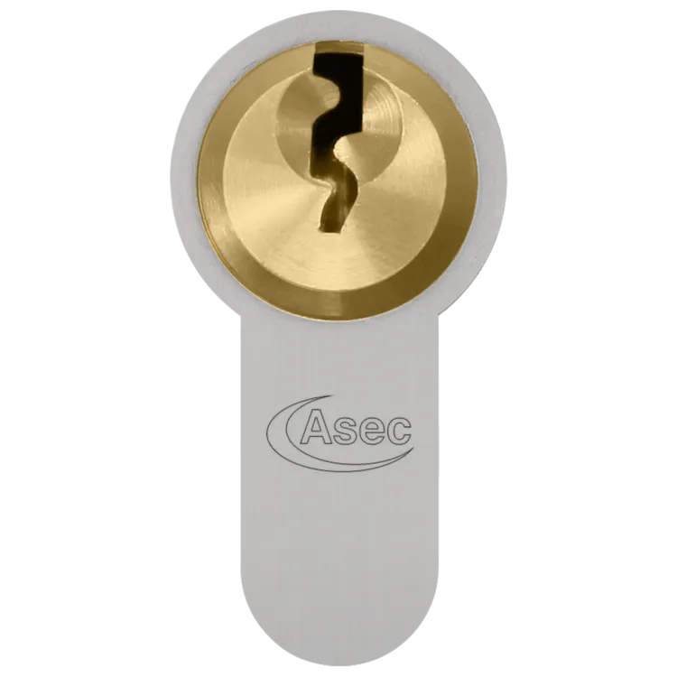 ASEC Vital 6 Pin Half Euro Dual Finish Snap Resistant Cylinder