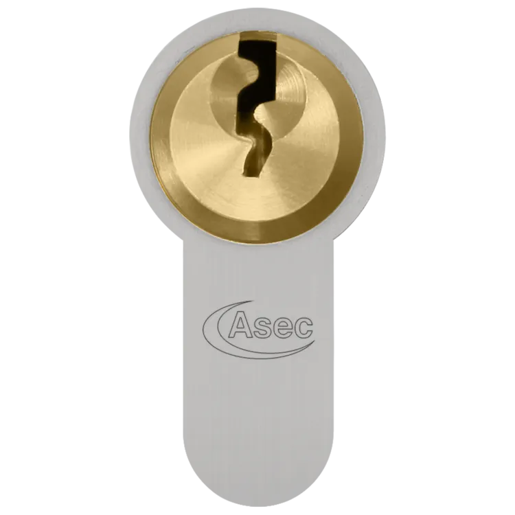 ASEC Vital 6 Pin Double Euro Dual Finish Snap Resistant Cylinder