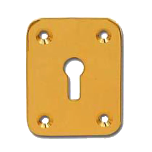 DORTREND 2151 Front Fix Escutcheon