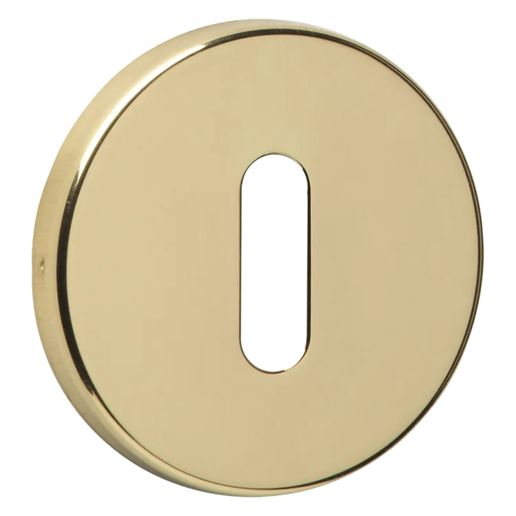 ASEC URBAN Concealed Fixing Standard Key  Escutcheon