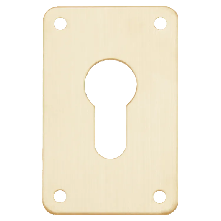 ASEC Screw On 45mm x 70mm Euro Escutcheon